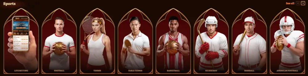 Categorías de apuestas deportivas de Wild Robin y vista previa de la interfaz de la aplicación móvil